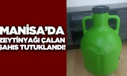 Salihli'de zeytinyağı hırsızı tutuklandı
