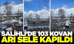 Salihli’de sel felaketi hayvancılığı da vurdu