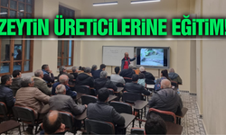 Salihli’de zeytin yetiştiriciliği kursuna yoğun ilgi!