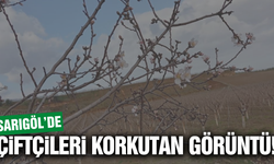 Sarıgöl'de tedirgin eden görüntü!