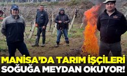 Sarıgöl'de tarım işçileri soğuğa meydan okuyor!