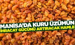 TARİŞ duyurdu: Manisa'da kuru üzümün piyasadaki gücünü artıracak eğitim
