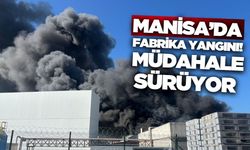 Manisa'da oyuncak fabrikasında yangın