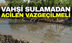 Başkan Bayraktar: 'Suya sahip çıkmak, geleceğe sahip çıkmaktır'