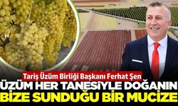 Ferhat Şen: 'Üzüm sadece bir ürün değil, doğal bir eczane'