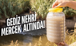 Gediz Nehri alarm veriyor!