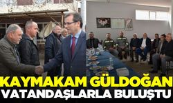 Kaymakam Güldoğan'dan sorunlara yakın takip
