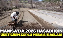 Manisa'da yeni sezon tütün hazırlıkları başladı!