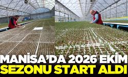 Manisa'da 5 Milyon tohum toprakla buluştu