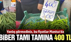 Manisa'da biberin kilosu 400 TL'ye dayandı