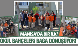 Manisa'da bir ilk: Okul bahçeleri bağ oluyor!