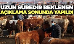 Manisa'da faaliyet yeniden başlıyor