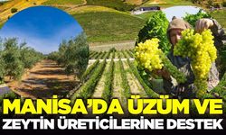 Manisa'da üreticileri sevindiren haber: Yüzde 100 hibeyle dağıtılacak!