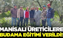 Manisa'da üreticilere budama eğitimi verildi!