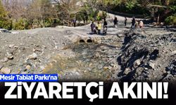 Mesir Tabiat Parkı doğaseverlerin uğrak noktası oldu