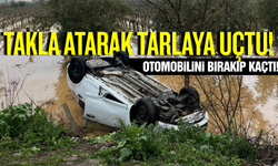 Salihli'de tarlaya uçan otomobilin sürücüsü kaçtı!