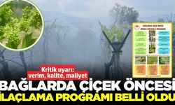 Sarıgöl bağlarında çiçek öncesi ilaçlama nasıl olmalı? İşte detaylar...