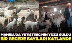 Sarıgöllü yetiştiricinin yüzü güldü: Mahalleli akın etti!