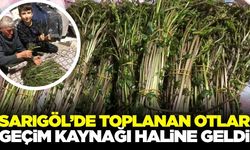 Sarıgöl’ün bereketli topraklarında yetişiyor! Pazarda 150 TL'ye satılıyor