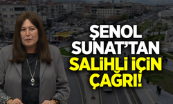 Şenol Sunat, Salihli'nin 7 yıllık çilesini TBMM'ye taşıdı!