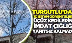 Turgutlu’da Ağaçta Mahsur Kalan Kedileri İtfaiye Kurtardı