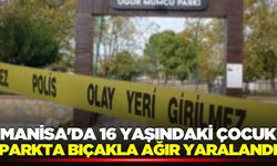 Manisa'da parkta kanlı kavga: 16 yaşındaki çocuk ağır yaralandı