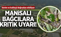 Uzmanından bağcılara kritik uyarı!