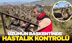 Üzümün Başkentinde hastalık kontrolü