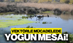 Manisa'da vektörle mücadelede dronlu takip!