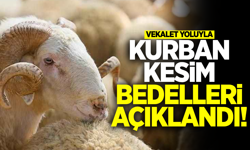 2026 Yılı Vekaletle Kurban Kesim Bedelleri Açıklandı
