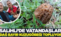 Kuzugöbeği bulan altın bulmuş gibi seviniyor