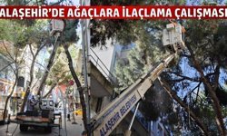 Alaşehir'de ilaçlama çalışmaları sürüyor!