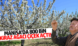 Demirci’de kiraz bahçeleri beyaza büründü!