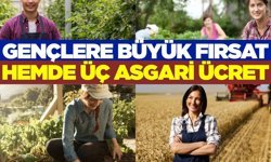 Gençlere maaşlı çiftçilik modeli: 40 bin kişi istihdam sağlayacak