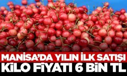 Kuzey Yarım Küre'deki ilk hasat Manisa'da gerçekleşti