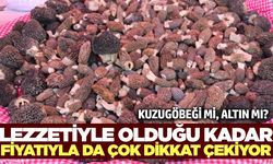Kuzugöbeği Bereketi: Kilosu 10 Bin TL’ye Dayandı