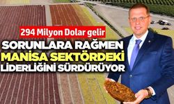 Manisa dünya kuru üzüm piyasasında liderliğini sürdürüyor