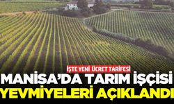 Manisa'da tarım işçisi ücretleri belli oldu!