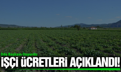 Manisa'da işçi ücretleri belli oldu!