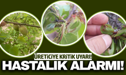 Manisa'da üreticilere kritik uyarı: 'İlaçlama zamanı geldi'