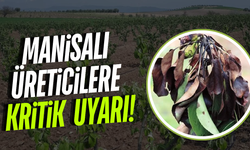 Manisa'da üreticilere kritik uyarı: 'Mücadele zamanı geldi'