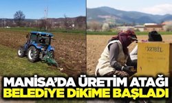 Manisa'da üretim hamlesi: Tarım arazilerinde patates dikimi başladı