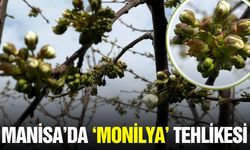 Manisalı üreticilere duyuru geldi: Doğru zamanı bildirdiler