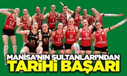 Manisa'nın Sultanları yeni sezonda Sultanlar Ligi'nde olacak