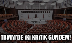 Milyonları ilgilendiren düzenlemeler bu hafta TBMM gündeminde!