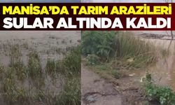 Turgutlu’da Tarım Arazileri Sular Altında Kaldı