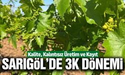 Sarıgöl bağlarında 3K dönemi başladı!
