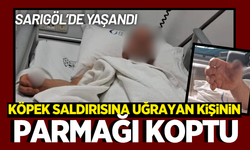 Sarıgöl'de köpek saldırısına uğrayan kişinin parmağı koptu!