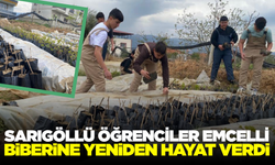 Sarıgöl'de Öğrencilerden Tarıma Önemli Katkı