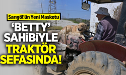 Sarıgöl’ün Sembolü Oldu: ‘Betty’ Sahibiyle Traktör Sefasında